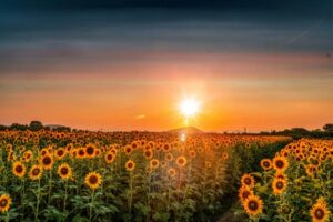 Condizioni-climatiche-estreme